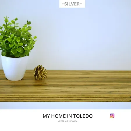 -silver- By Myhomeintoledo * Toledo