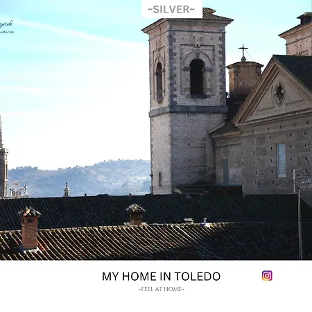 -silver- By Myhomeintoledo Appartamento *