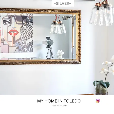 -silver- By Myhomeintoledo Appartamento Toledo