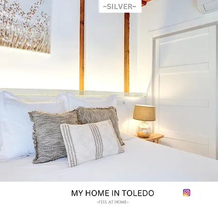 -silver- By Myhomeintoledo Appartamento *