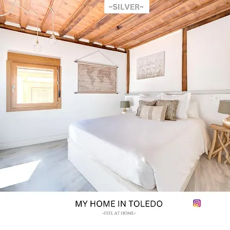 -silver- By Myhomeintoledo Appartamento *